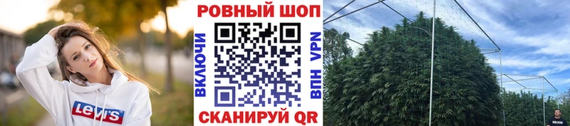 Где можно купить наркотики Ейск Псилоцибиновые грибы  ГАШИШ  Кетамин  Кокаин 