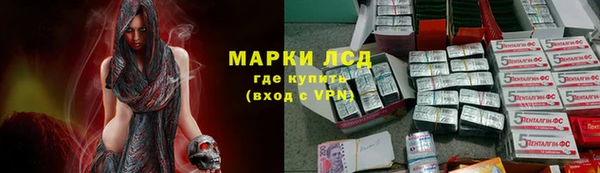 гашик Апатиты