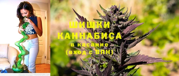 PSILOCYBIN Анжеро-Судженск