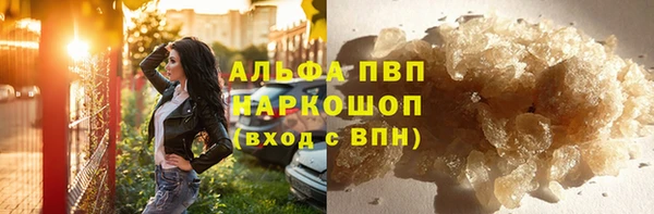 PSILOCYBIN Анжеро-Судженск