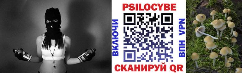 Псилоцибиновые грибы Psilocybe Ейск