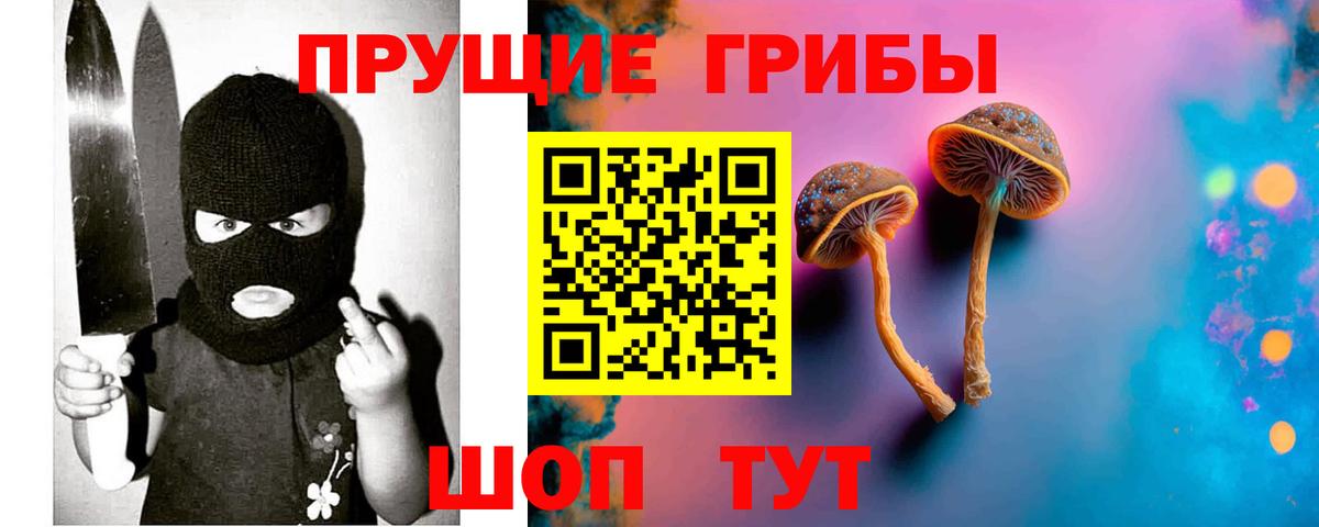 Галлюциногенные грибы Psilocybe  Псилоцибиновые грибы мицелий  Вход с VPN  Ейск 